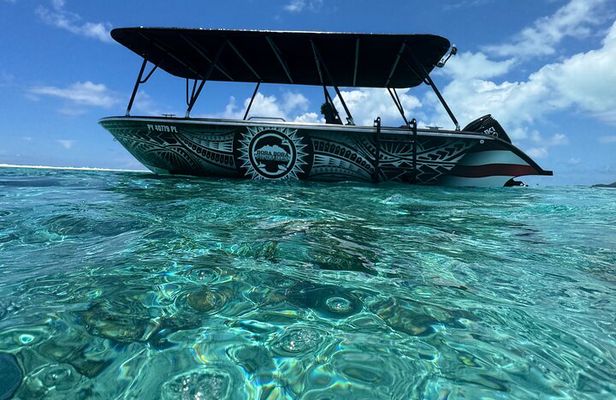 Half day Eco Snorkeling small group Tour in Bora Bora