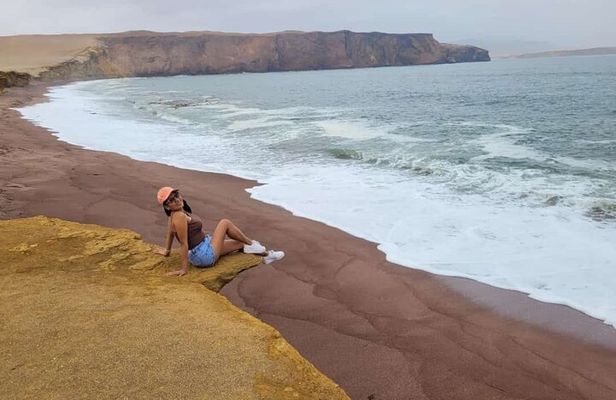 From Ica to Huacachina: Ballestas Islands and National Reserve
