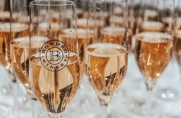 NON BUS Champagne Wine Tour in Traverse City Shared Experience