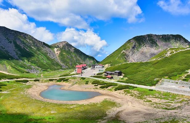 From Takayama Mt. Norikura Alpine Flowers and Panoramic Peaks