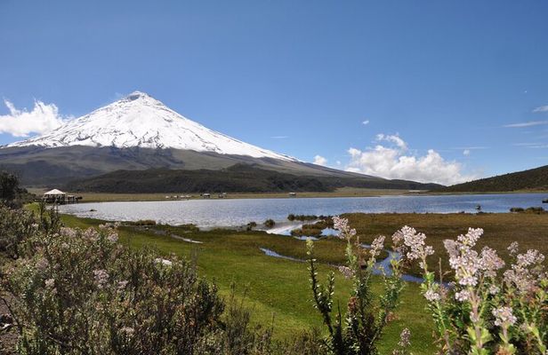 Andean Adventure : Riding and Cotopaxi Refuge