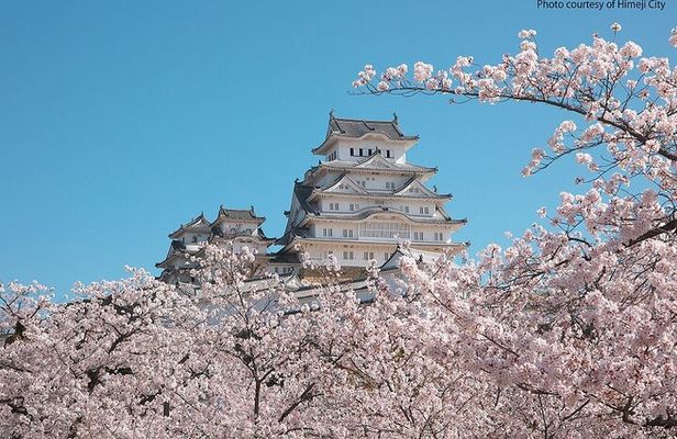 Himeji Castle and Akashi Kaikyo Bridge Walking Tour from Kyoto