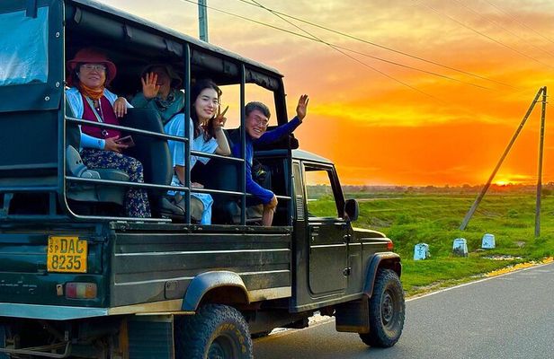 Full Day Safari Tour - Yala National Park (4.30am-6.30pm) 