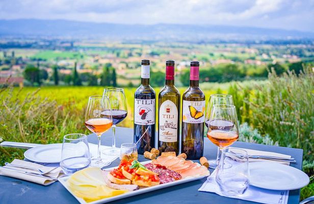 Farm to Table Light Lunch and Wine Tasting in Assisi Countryside