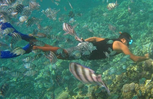 Nha Trang Snorkeling Fishing BBQ and Mini Beach Relaxation Tour