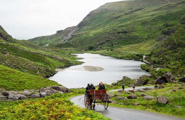 Killarney Highlights Walk – Castle Lake Carriage Ride