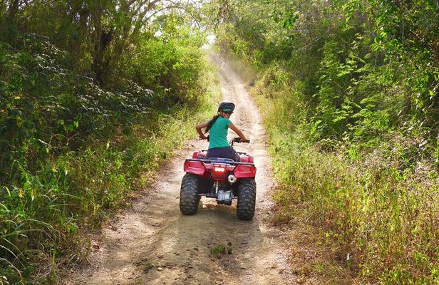 Wildlife Encounter in Cartagena Villanueva by ATV