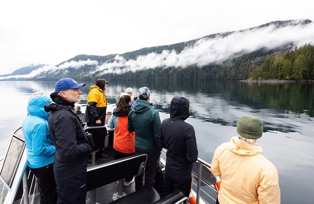 Covered Boat Whale Watching 6-Hour Tour from Campbell River