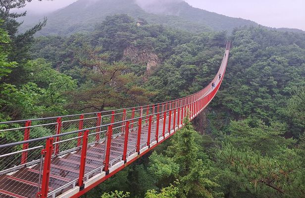 Explore DMZ from Seoul with Gondola and Suspension Bridge Option