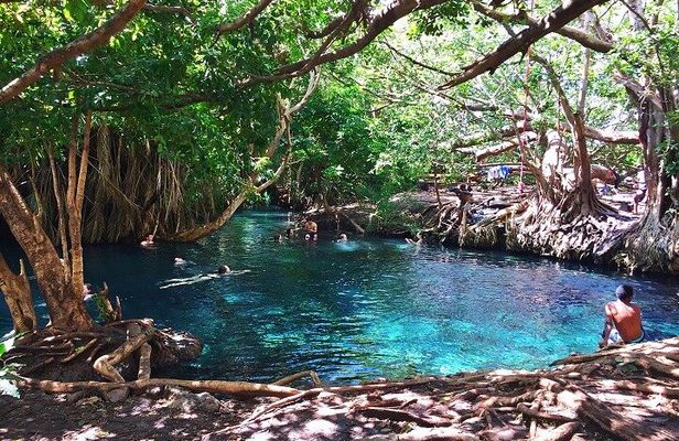 Moshi Tours: The Best Chemka Hot Spring Half Day Trip From Moshi