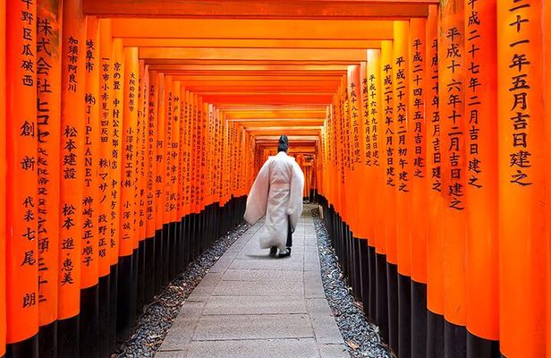 Kyoto One Day Sightseeing Tour from Osaka or Kyoto