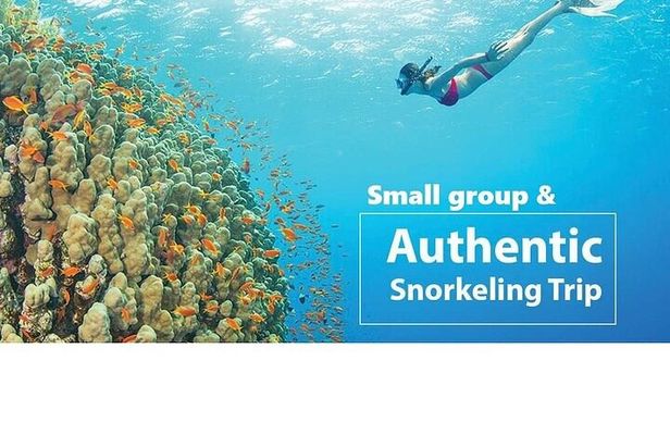 Real snorkel trip to explore Cham island by speedboat-SMALL GROUP