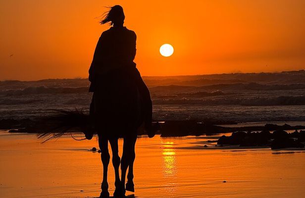 Horseback Riding in Essaouira - Essaouira HorseRiding