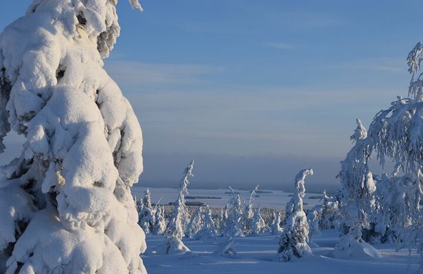 Riisitunturi National Park – Breathtaking Day Hike from Rovaniemi