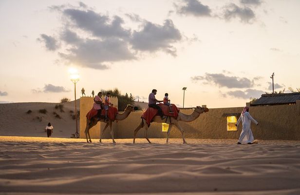 Dubai Desert Safari with BBQ, Dune, Live Shows
