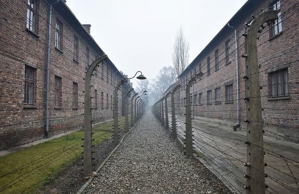 Krakow Auschwitz Birkenau Day Trip with Tour Leader