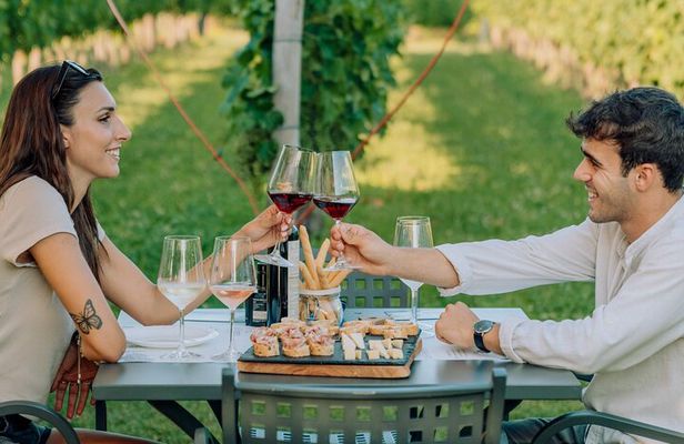 Wine and Food Tasting in the Vineyards in Lazise