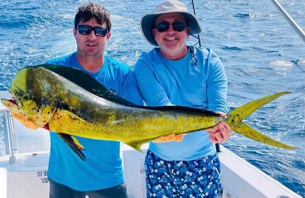 4 Hour Shared Deep Sea Fishing in Key West