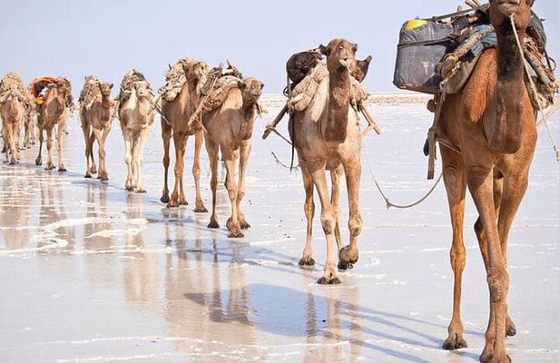 "3-Day Danakil Depression: Explore Earth's Hottest Wonderland"