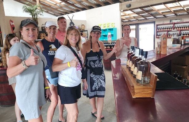 Guided Tour And Zipline In The Monkey And Sloth Jungle