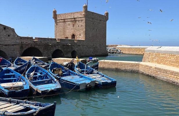 Day Trip to Essaouira from Agadir or Taghazout