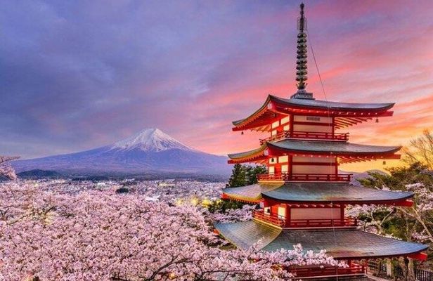 Mount Fuji and Hakone Private Tour with Pickup from Tokyo