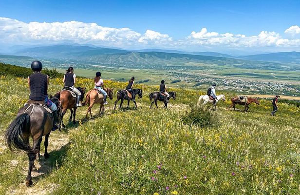 1 Day Horse Riding Tour at Palomino Ranch