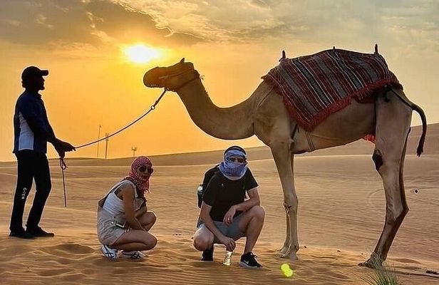 Camel Safari in Desert with Pickup and Drop off in Doha