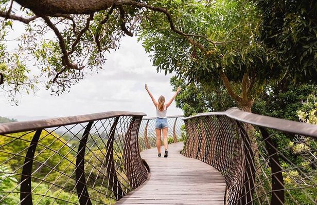 Half Day Tour: Table Mountain & KirstenBosch Botanical Gardens
