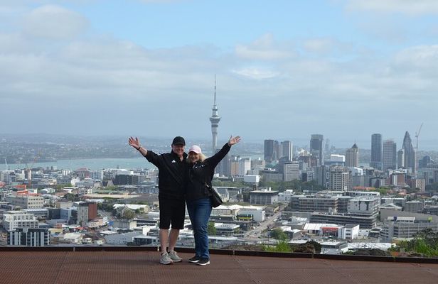 Bright Mornings in Auckland
