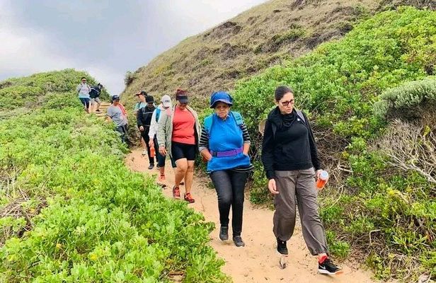 Costal Hiking Sacramento Trail Port Elizabeth 