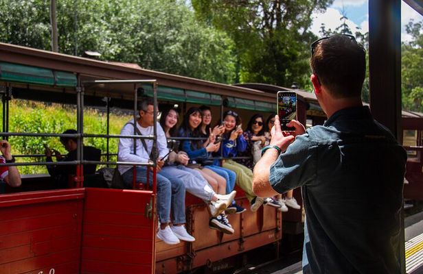 Puffing Billy Tour and Penguin Parade from Melbourne