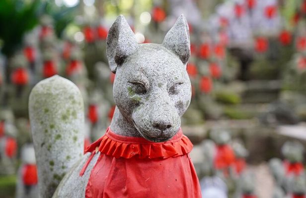 From Nagoya: Discover Aichi — Korankei, Miso, & Inari Shrine