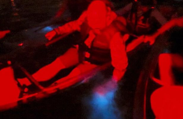 Biobay Vieques Tour Kayak Night Tour