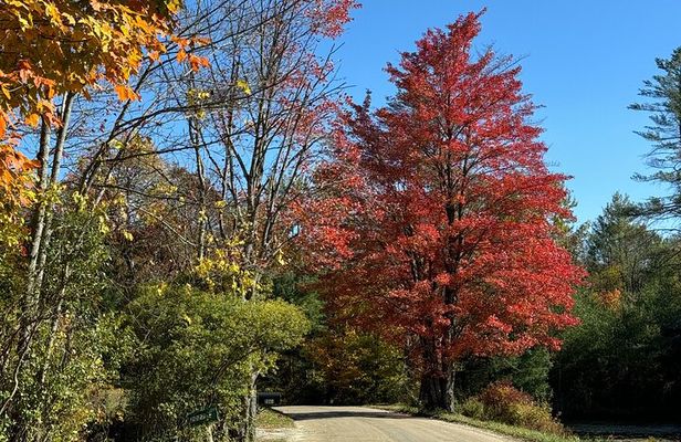Signature Vermont Wayfinders Private Guided Tour