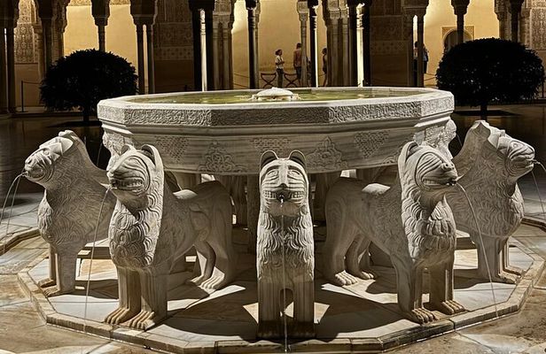 Alhambra Night Tour with tickets included Nasrid Palaces