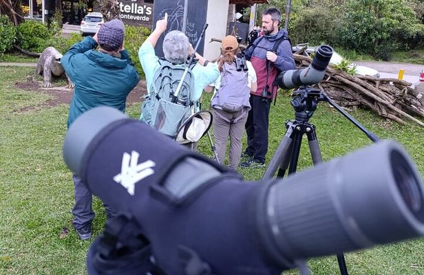 Monteverde Guided Eco Walk – Cloudforest Plants, Birds & Nature
