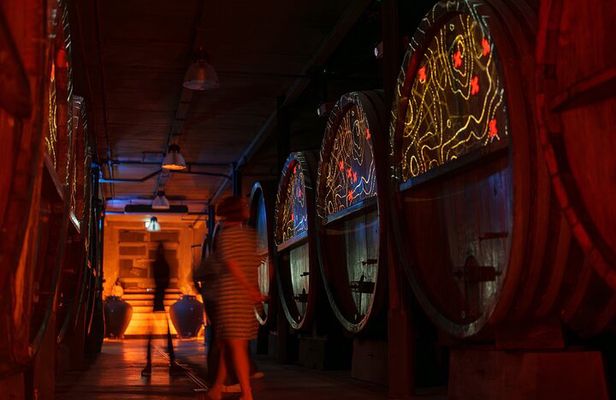 Wine tour, tasting and Alsatian meal - 100% immersive experience