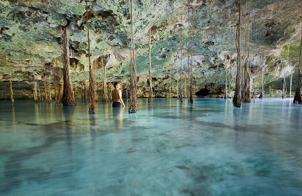 Private Cenote Experience, swim in the heart of the Mayan Jungle