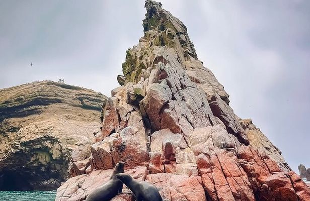 Peru Magic in 5 days Lima - Cusco - Machupicchu + 3 star hotel