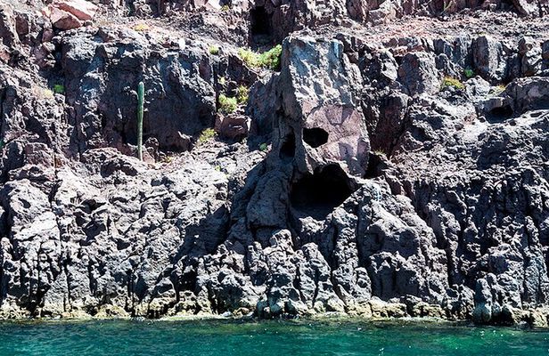 Isla Espiritu Santo and Balandra Tour