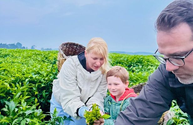 Nyungwe National Park Private Tour