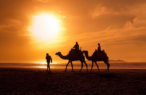 Camel Ride in Agadir with Dinner BBQ