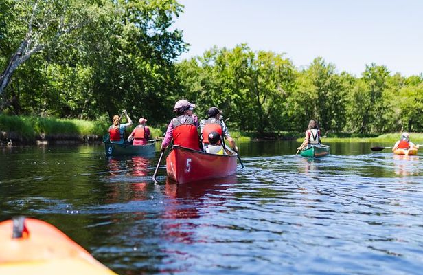 Mersey River Quickie Adventure - 2 Hours