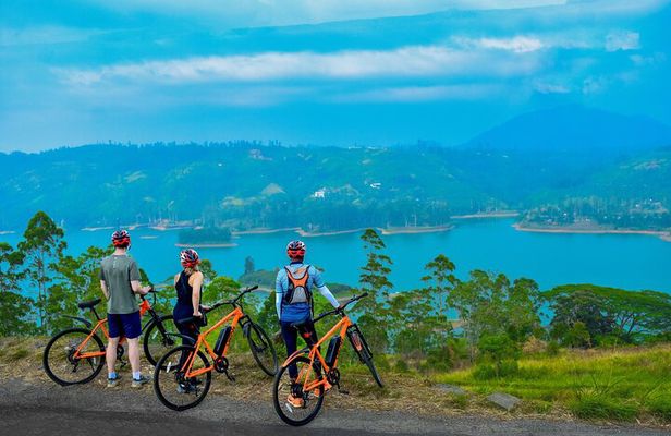 Tea Loops E-Biking