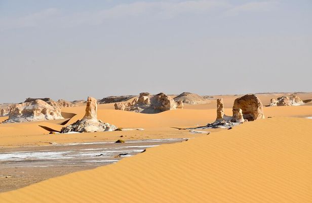 3 Days 2 Nights Black and White Desert Tours Experience 