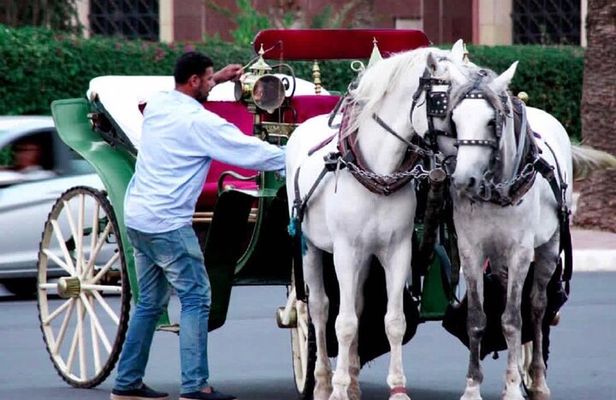 Marrakech 1 hour Horse Carriage Rides