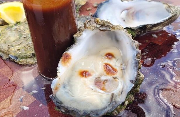 Oyster Adventure in Coffin Bay (Coffin Bay Pick Up)