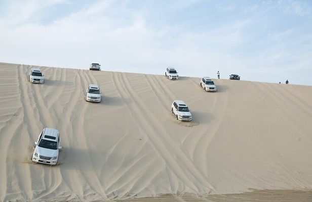 Doha: Half Day Desert Safari with Camel Ride and Inland Sea Tour