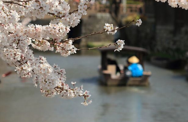 From Nagoya: Castles and Canals in Hikone and Omi Hachiman